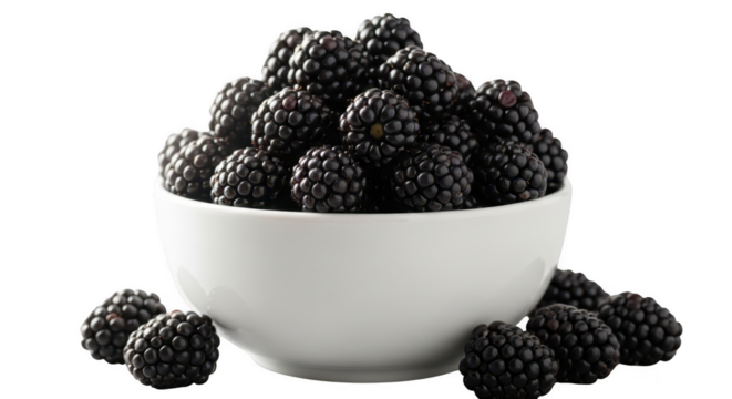 Delicious blackberries freshly harvested piled in a white bowl detailed macro view illustration