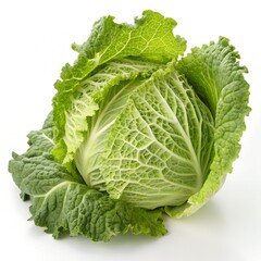 Fototapeta premium Fresh savoy cabbage isolated on white background, a nutritious vegetable