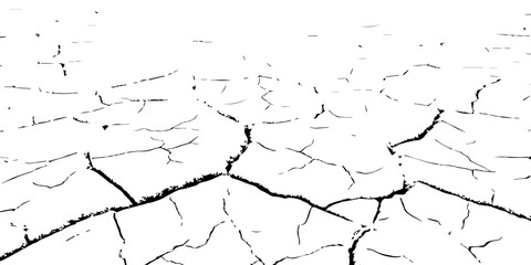 Black and white cracked earth texture showing dry, parched soil surface. Abstract natural background representing drought, climate change, and land degradation. Ideal for design and texture projects.