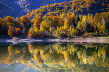 Autumn reflection
