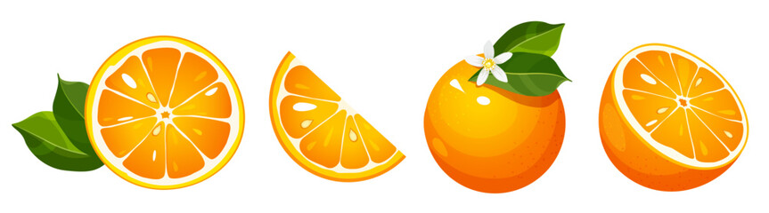 Vector illustration of fresh orange fruit cut in various shapes and sizes, including whole fruits, halves, and slices, isolated on a white background.