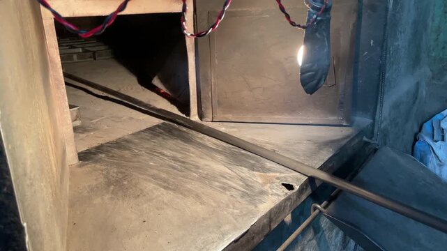 Putting Indian Pav Bread into Oven, Fresh Bakery Production in India