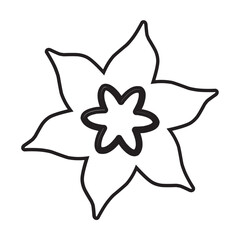 Illustration of a Flower Line