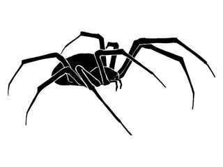 Vector silhouette of a black and white spider illustration on a white background.