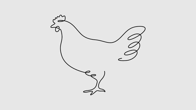 Hen continuous one line art drawing animation video. Farm concept. Full length one line 4K animation