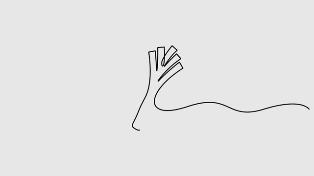 Leek continuous one line drawing animation. Full length single line art 4k animation