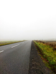 Foggy road stretches into the distance at dawn in the countryside