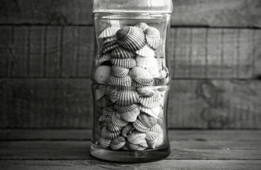 Decorative glass vase with shells