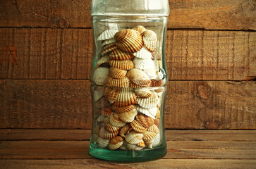 Decorative glass vase with shells