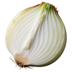 Onion Slice Isolated