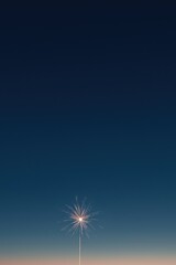 Fototapeta premium Firework lighting up dark night sky during celebration