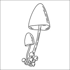 Hand Drawn Forest Mushrooms Line Art Illustration