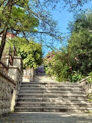 Stone staircase surrounded by green trees and plants under blue sky
