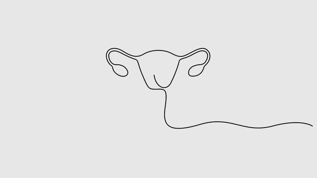 Female uterus and ovary continuous single line drawing animation. Full length one line 4K animation