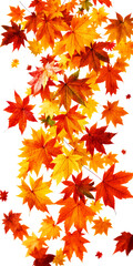 Vibrant Cascade Of Autumn Maple Leaves In Red Orange And Yellow Hues Against A Transparent Background