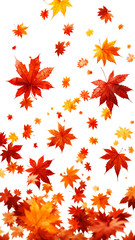 Numerous Red Orange And Yellow Maple Leaves Fall Against A Transparent Background Creating An Autumnal Display