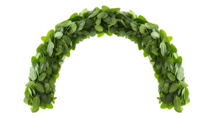 Lush green foliage archway, a vibrant botanical curve offering a natural, fresh decorative element, meticulously isolated on a clean white background for versatile design projects