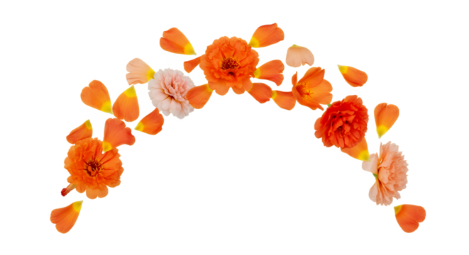 Beautiful floral arrangement of vibrant orange and pink flowers forming an elegant arch on a white background