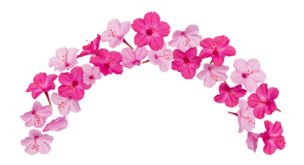 A decorative arch of vibrant pink hibiscus flowers, perfect for celebratory invitations and spring themes