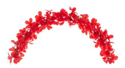 Vibrant red floral archway crafted from delicate blossoms, evoking a sense of natural beauty and celebratory decor