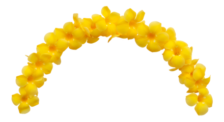 Vibrant golden blossoms delicately strung into a beautiful arch, presenting a natural and decorative floral display, perfect for celebrations or serene botanical themes