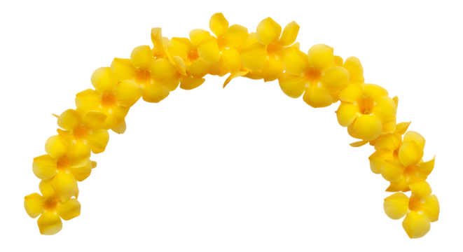 Vibrant golden blossoms delicately strung into a beautiful arch, presenting a natural and decorative floral display, perfect for celebrations or serene botanical themes