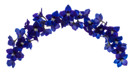 Elegant archway of vibrant blue delphinium flowers, creating a stunning floral display for design elements