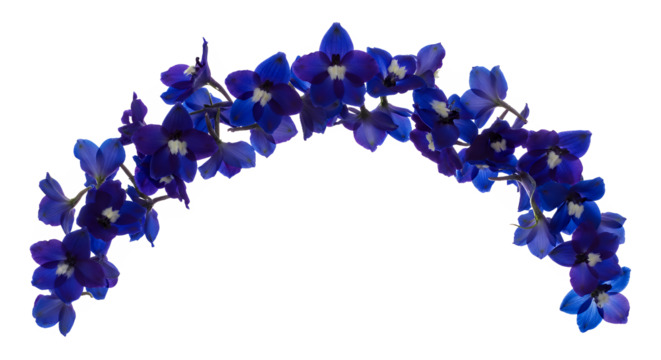 Elegant archway of vibrant blue delphinium flowers, creating a stunning floral display for design elements