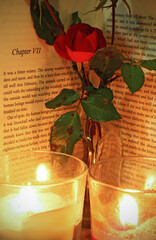 Beautiful red rose in a glass vase