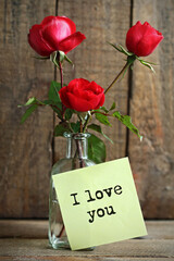 Beautiful red rose in a glass vase
