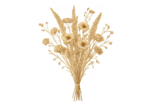 Boho dried floral bouquet with pampas grass