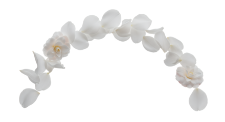 Delicate arc of pristine white flower petals gracefully arranged with small, fresh blossoms, creating an elegant and pure natural garland, symbolizing beauty, serenity, and new beginnings