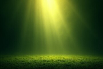 Green grass with rays of light