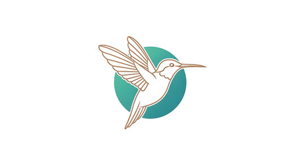 Fototapeta premium Colorful Hummingbird In Midair With Wide Wings Against Teal Circle Background