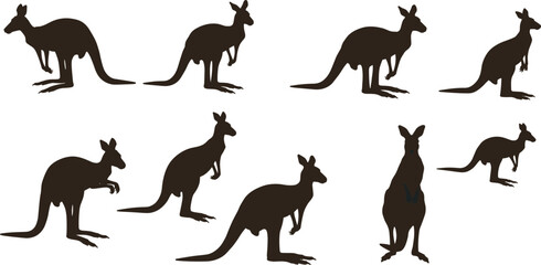 Silhouette of kangaroos in various poses, wildlife animal illustration, Australian nature concept, jumping and standing kangaroo collection, fauna design vector