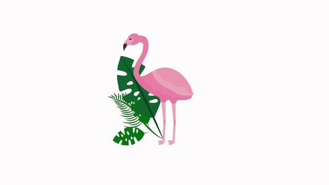Pink flamingo standing next to tropical leaves bird exotic