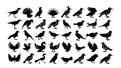 Birds Silhouette Bundle