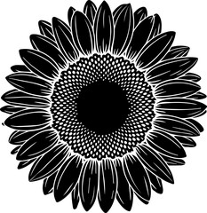 A sunflower silhouette