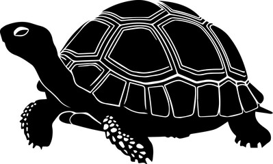 A Sea turtle silhouette icon 