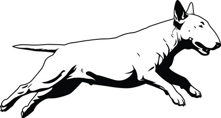 Obraz premium Bull Terrier leaping pose, black and white illustration, muscular dog motion, stylized breed design, dynamic gesture, energetic pet art