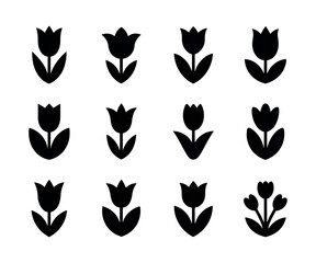 Vibrant tulip flower illustration