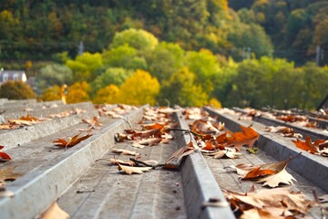 autumn leaves on the roof of the house © Alina