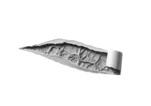 Photorealistic extreme close-up of dynamically ripped, textured chalky-white paper revealing pulp fibers and depth on transparent, hard raking light, raw material study