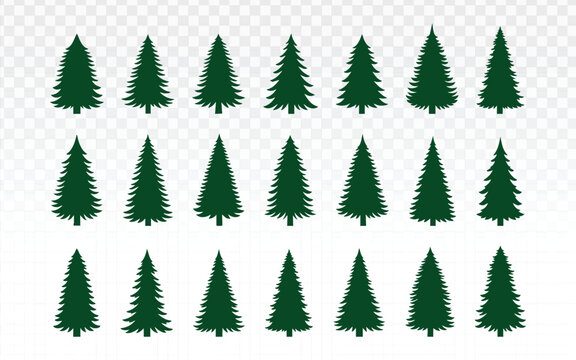 Extensive set of detailed green pine and fir tree graphics in multiple styles. Ideal for Christmas themes, winter holidays, outdoor projects, park maps, camping, or natural forest backgrounds.