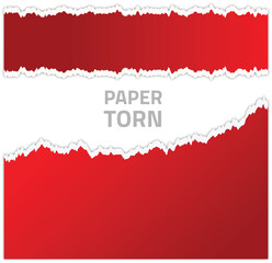 Torn Red Paper Edge with White Space