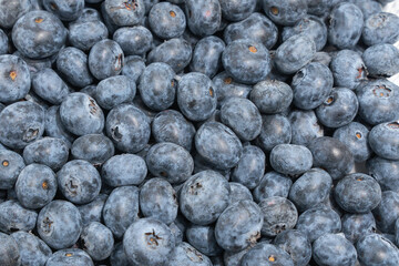 Blueberries Close-up. Macro shot of fresh ripe blueberries showing texture and color. Perfect for backgrounds or healthy food concepts.