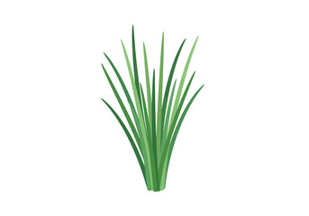 A bunch of chives with a collection of long green stems