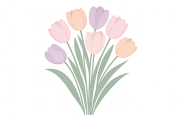 Pastel colored tulip bouquet illustration transparent background