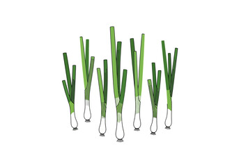A collection of green onions standing upright with varied stem heights isolated on a white background © dhorido studio