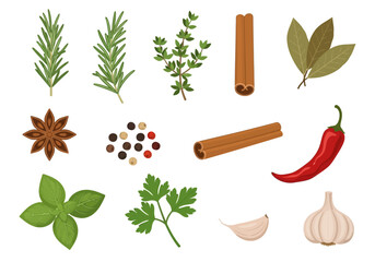 Assortment of culinary spices rosemary thyme star anise peppercorns cinnamon basil chili garlic bay leaves and parsley